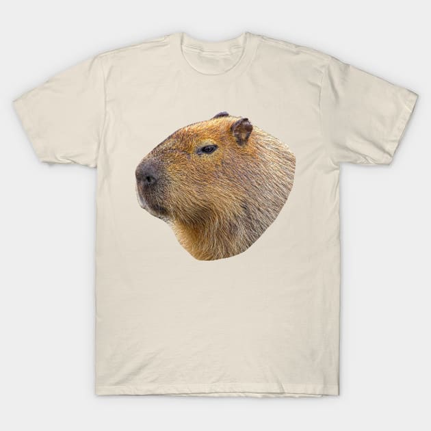 Capybara head T-Shirt by dalyndigaital2@gmail.com